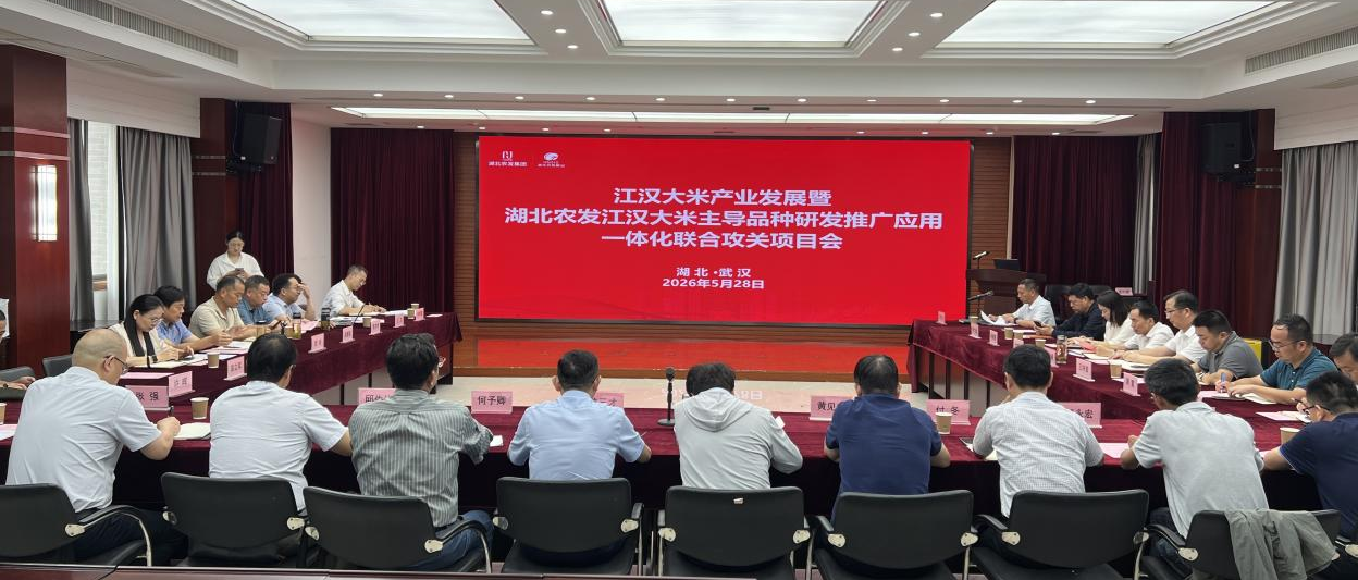 江汉大米产业会议.png